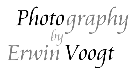 Photography by Erwin Voogt